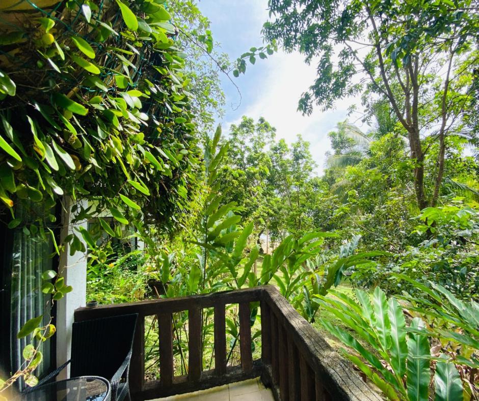 Catanauan Cove White Sand Beach Resort Exterior foto